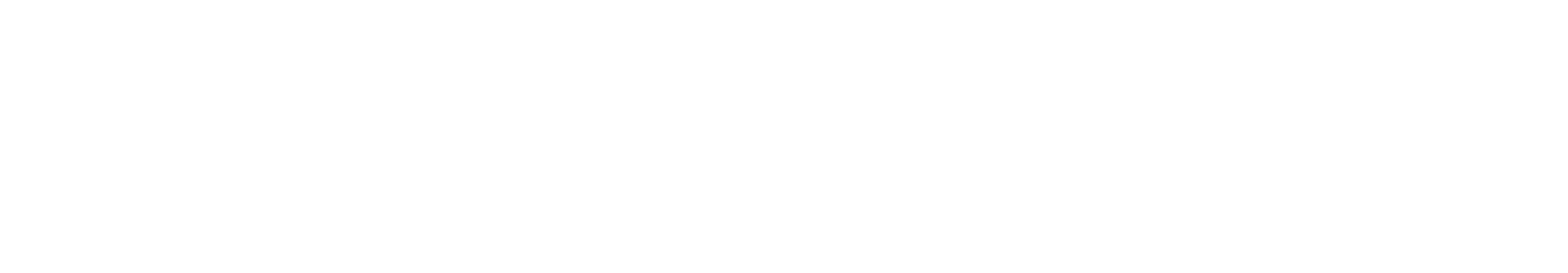 CURVA Full Wordmark White
